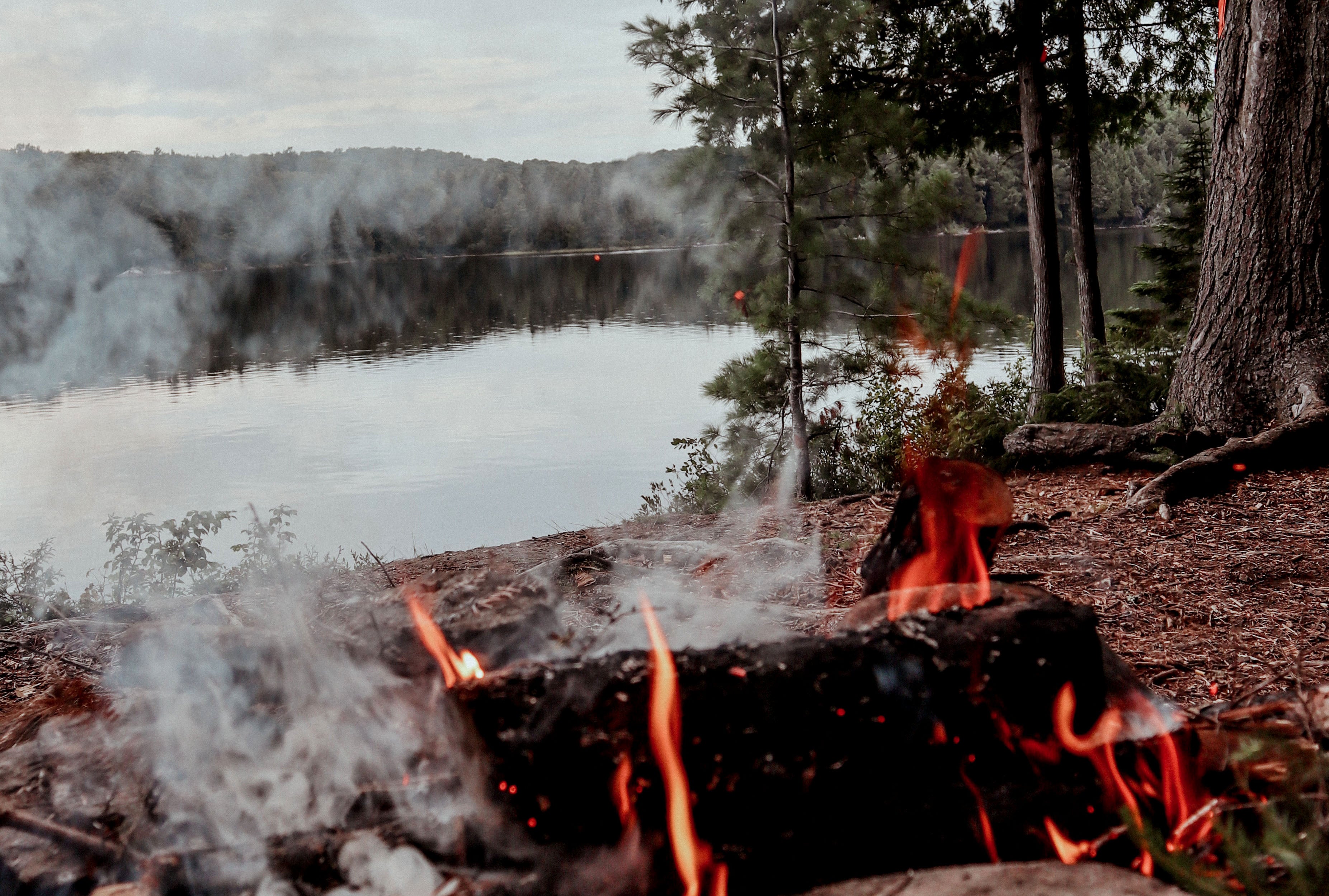 View Of The Glamping Island A Private Paradise On Lake Timiskaming Near Haileybury Northern Ontario Surrounded By The Lake In The Background Inviting The Best Escape For A Glamorous Camping Experience In The City Of Temiskaming Shores