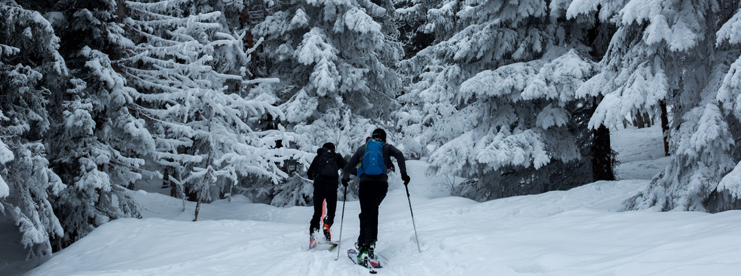 Cross Country Skiers Gliding Through A Snowy Forest Trail At Temiskaming Nordic Ski Club Where The Skiers Are Surrounded By Tall Pine Trees And Pristine Winter Scenery Creating A Serene And Picturesque Winter Landscape Making It The Best Skiing In Ontario