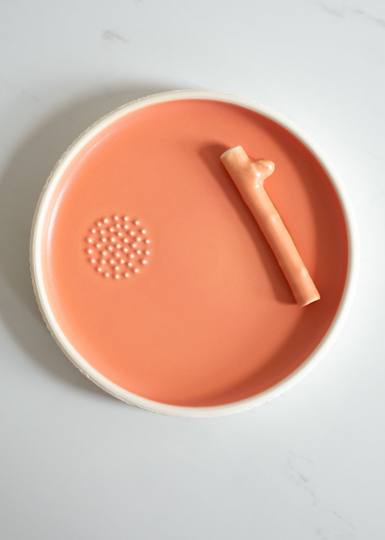 Sessionware Forest Set In Coral Made Sustainably In Canada By The GCC Shop In A Plastic-free Two-piece Set